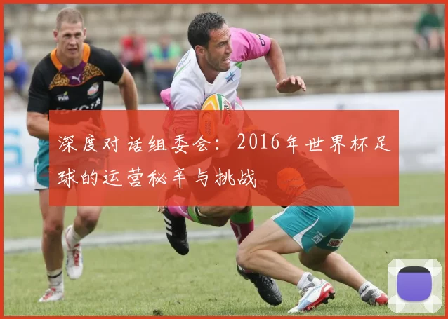 深度对话组委会：2016年世界杯足球的运营秘辛与挑战