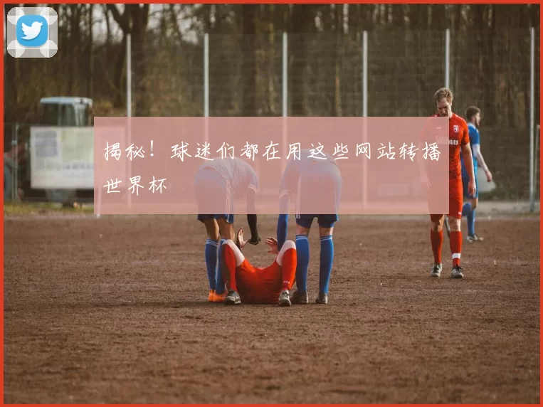 揭秘！球迷们都在用这些网站转播世界杯