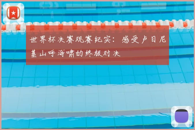 世界杯决赛观赛纪实:感受卢日尼基山呼海啸的终极对决
