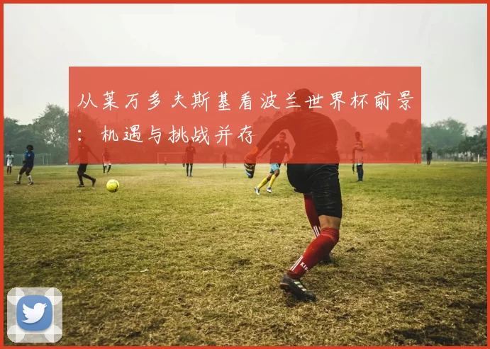 从莱万多夫斯基看波兰世界杯前景:机遇与挑战并存