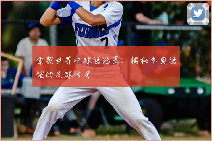 索契世界杯球场地图：揭秘冬奥场馆的足球传奇