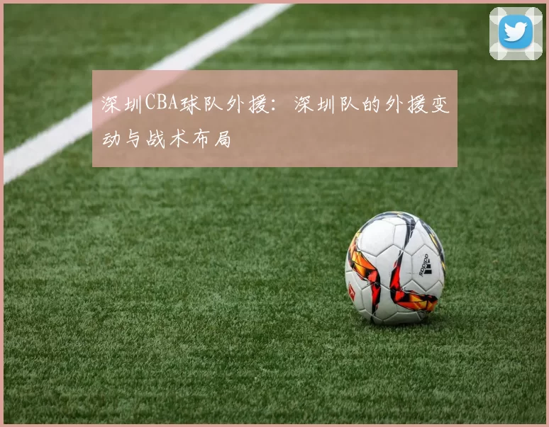 深圳CBA球队外援:深圳队的外援变动与战术布局