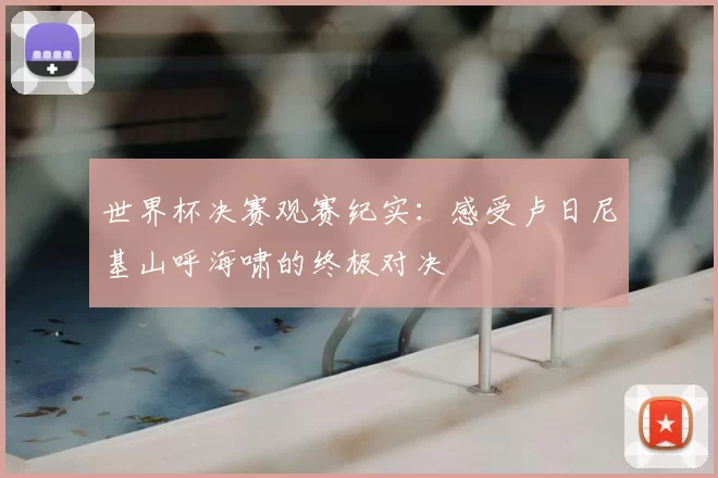 世界杯决赛观赛纪实：感受卢日尼基山呼海啸的终极对决