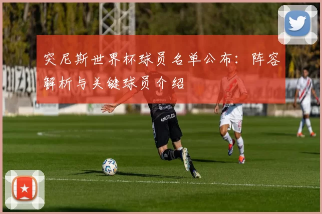 突尼斯世界杯球员名单公布：阵容解析与关键球员介绍
