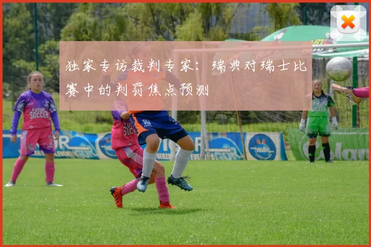 独家专访裁判专家：瑞典对瑞士比赛中的判罚焦点预测