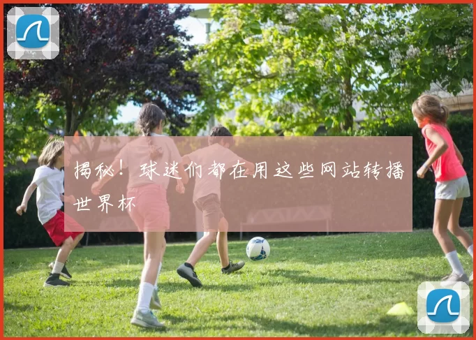 揭秘！球迷们都在用这些网站转播世界杯